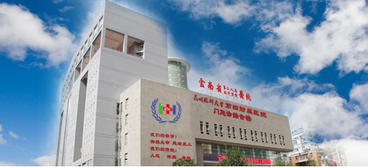 The Second People’s Hospital of Yunnan Province