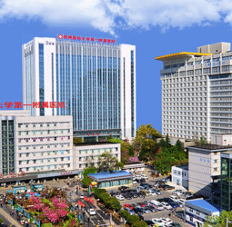 The First Affiliated Hospital of Kunming Medical University